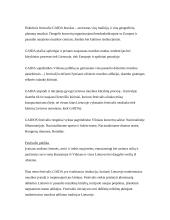 Akademinės muzikos festivaliai 11 puslapis