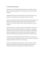 Akademinės muzikos festivaliai 14 puslapis