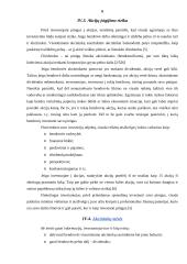 Akcijos, akcijų rinka ir obligacijos 7 puslapis