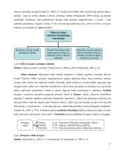Organizacijų etikos vadybos analizė ir atsinaujinimo galimybės  17 puslapis
