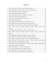 Organizacijų etikos vadybos analizė ir atsinaujinimo galimybės  7 puslapis