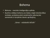 Knygos "Tūla" apžvalga 13 puslapis