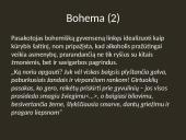 Knygos "Tūla" apžvalga 14 puslapis