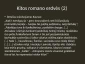 Knygos "Tūla" apžvalga 19 puslapis