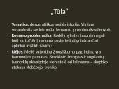 Knygos "Tūla" apžvalga 5 puslapis
