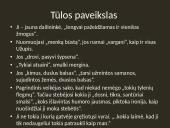 Knygos "Tūla" apžvalga 6 puslapis