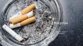 Apie rūkymą ir jo žalą
