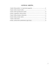 Akytasis betonas 2 puslapis