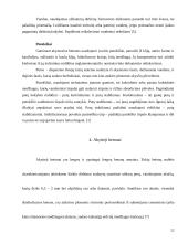 Akytasis betonas 11 puslapis