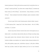 Akytasis betonas 18 puslapis