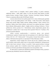 Akytasis betonas 3 puslapis