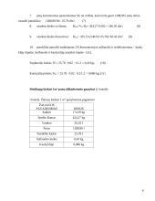 Akytasis betonas 5 puslapis