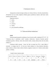 Akytasis betonas 6 puslapis