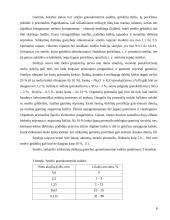 Akytasis betonas 7 puslapis