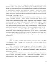 Akytasis betonas 9 puslapis