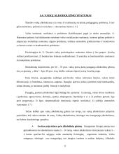 Alkoholio vartojimo situacijos analizė 11 puslapis