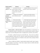 Alkoholio vartojimo situacijos analizė 14 puslapis