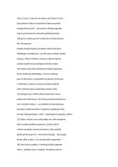 Jonas Radvanas ,,Radviliada'' analizė 11 puslapis