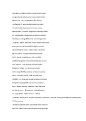 Jonas Radvanas ,,Radviliada'' analizė 20 puslapis