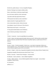 Jonas Radvanas ,,Radviliada'' analizė 7 puslapis