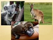 Trumpai apie Australiją 8 puslapis