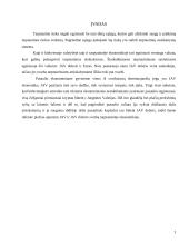 Amerikos įtaka tarptautiniuose ekonominiuose ryšiuose 2 puslapis