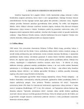 Amerikos įtaka tarptautiniuose ekonominiuose ryšiuose 11 puslapis