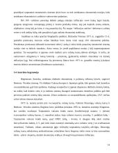 Amerikos įtaka tarptautiniuose ekonominiuose ryšiuose 13 puslapis