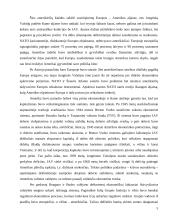 Amerikos įtaka tarptautiniuose ekonominiuose ryšiuose 4 puslapis