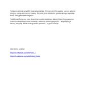 Broliai raitai ir pirmasis lektuvas 3 puslapis