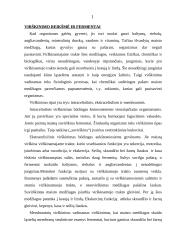 Anatomija. Gyvulio virškinimas