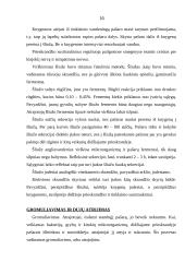 Anatomija. Gyvulio virškinimas 16 puslapis