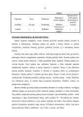 Anatomija. Gyvulio virškinimas 4 puslapis