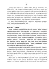 Anatomija. Gyvulio virškinimas 8 puslapis