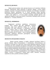 Anglies alotropija 5 puslapis