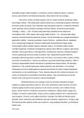 Ar žmogus visada gali rinktis ir yra atsakingas už savo veiksmus (Katiliškis, Nėris, Škėma) 3 puslapis