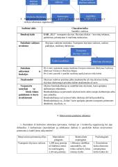 UAB ,,BLS“ - logistikos paslaugos 5 puslapis