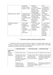 UAB ,,BLS“ - logistikos paslaugos 6 puslapis