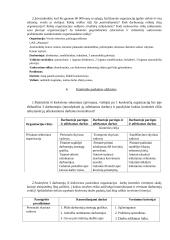 UAB ,,BLS“ - logistikos paslaugos 7 puslapis