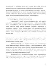 Studentų akademinė motyvacija: raidos ir kaitos ypatumai 14 puslapis