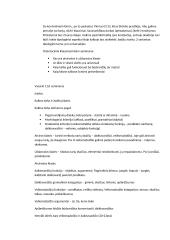 Kalbų tipologijos įvadas 3 puslapis