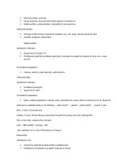 Kalbų tipologijos įvadas 5 puslapis