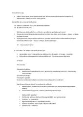 Kalbų tipologijos įvadas 6 puslapis