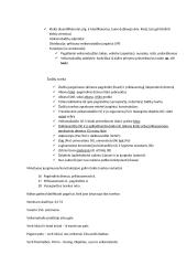 Kalbų tipologijos įvadas 7 puslapis