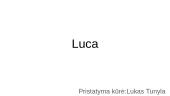 Filmo pristatymas „Luca“