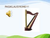 Styginiai muzikos instrumentai 12 puslapis
