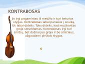 Styginiai muzikos instrumentai 5 puslapis