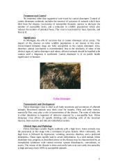 Animal diseases 11 puslapis