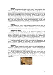 Animal diseases 17 puslapis