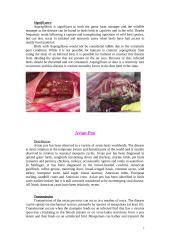 Animal diseases 7 puslapis